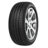 MINERVA F205 - 205/55R17 95W XL