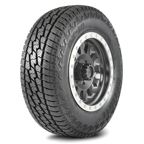 DELINTE_BANDIT DX-10 AT - LT 245 70R16 118 115S