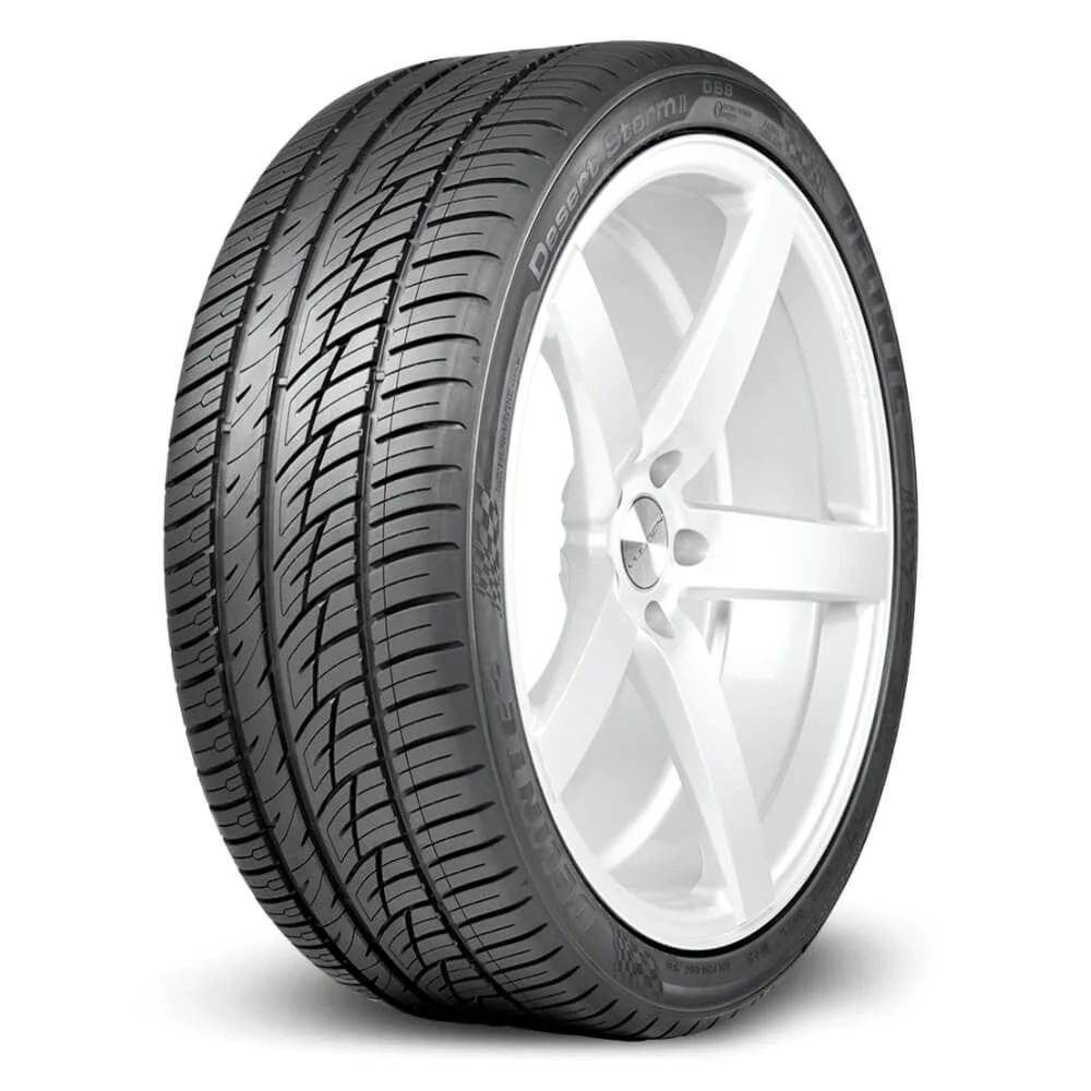 DELINTE_DESERT STORM DS8 - 245 35ZR20 95W XL